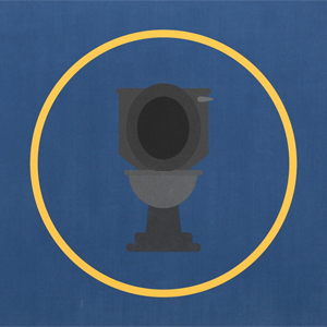 99 second animated explainer on toilets around the world